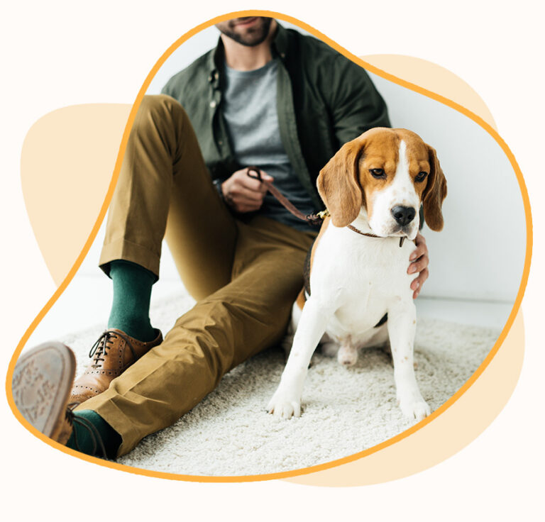 Professional Pet Sitter in Boise